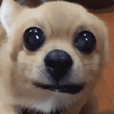 ❔