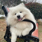 模糊不说