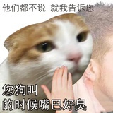 只拉黑草包🫰