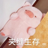 查无此🐷