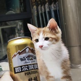 爱吃伯恩山大脚