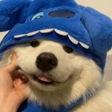 蜂蜜牛奶再加糖
