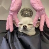 卡拉永远ok