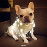 不辣