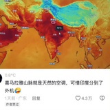now涂总