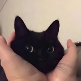 光渊（在播中）