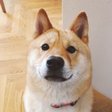 _____Reira