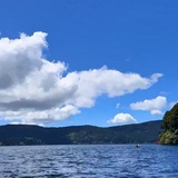 随心自在