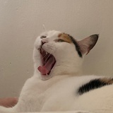 。