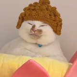 欢乐奔跑的狗子