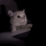 我不李姐
