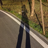 花格子衬衫