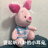 快乐的小青蛙