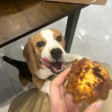 黄油咖啡