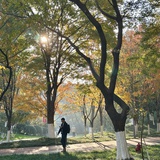 杳杳川平