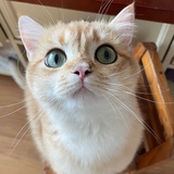 u、u