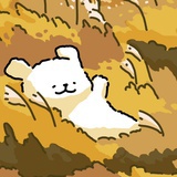 dong