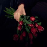 衔杯观花