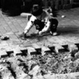 愿为伯约