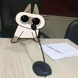 暹罗猫代言仁