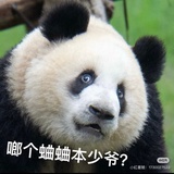 隨處吃瓜