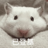 国际影后章小姨