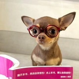 麻番薯了