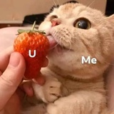 哆啦喵