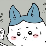 圣母玛利猫