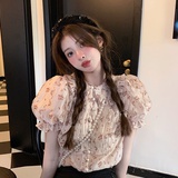 渺渺子