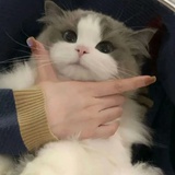 甜甜的布洛芬