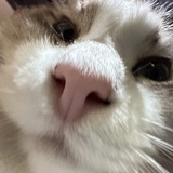 去你的