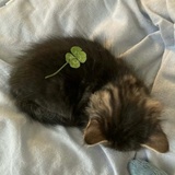 會不會忽然出現