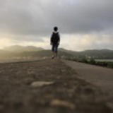 落叶归根_海