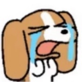 汉斯逃不掉轮下