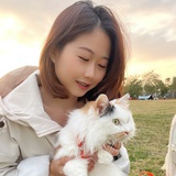 Junnn_nFei