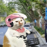 麻烦让让