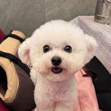 豆友3daxl09uz4