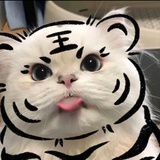 momo