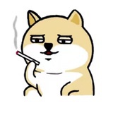 大头还是头大