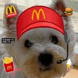 qoqo