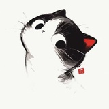 被时光眷顾的猫