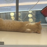 这边也阴天