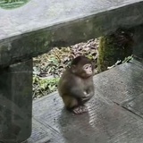 你真的想太多了