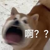 嗷呜呜