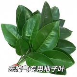 圆都不圆你