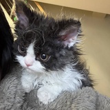下小雨