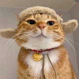 oiiiii
