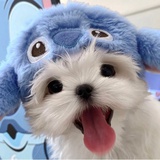 X方程式