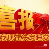 BP-虞书欣